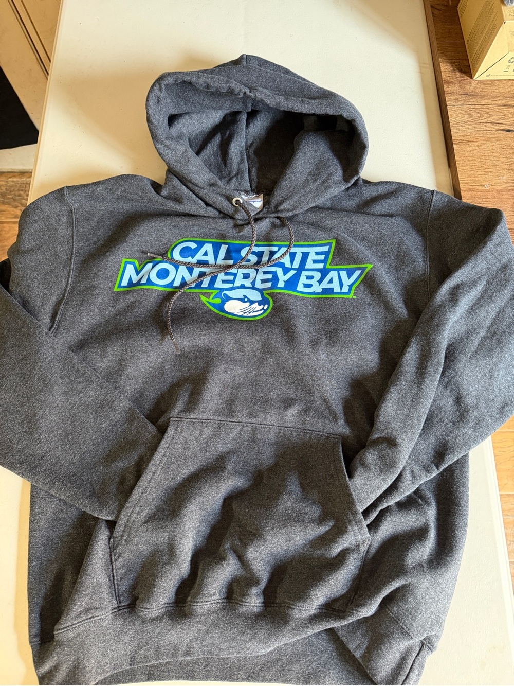 Champion Gray Cal State Monterey Bay Logo Hoodie with Blue & Green Accents